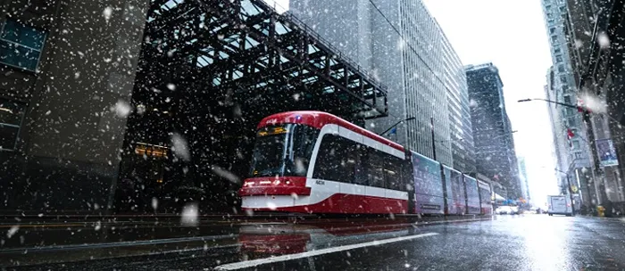 Charu-Kapoor-Immigration-Main-Page-Image-8