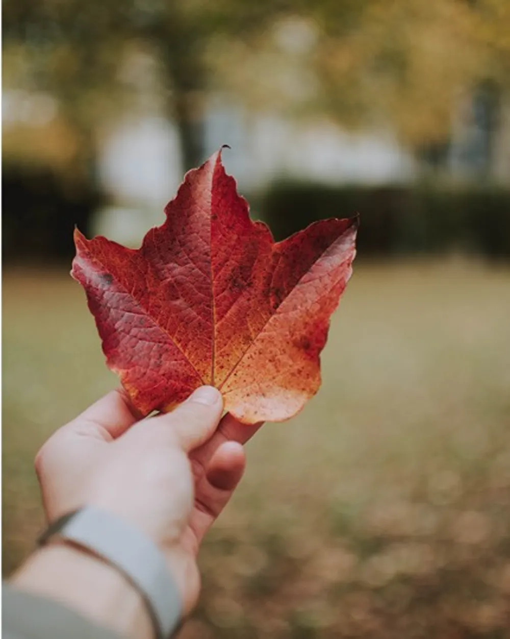 Charu-Kapoor-Immigration-Rural-Program-Image-1