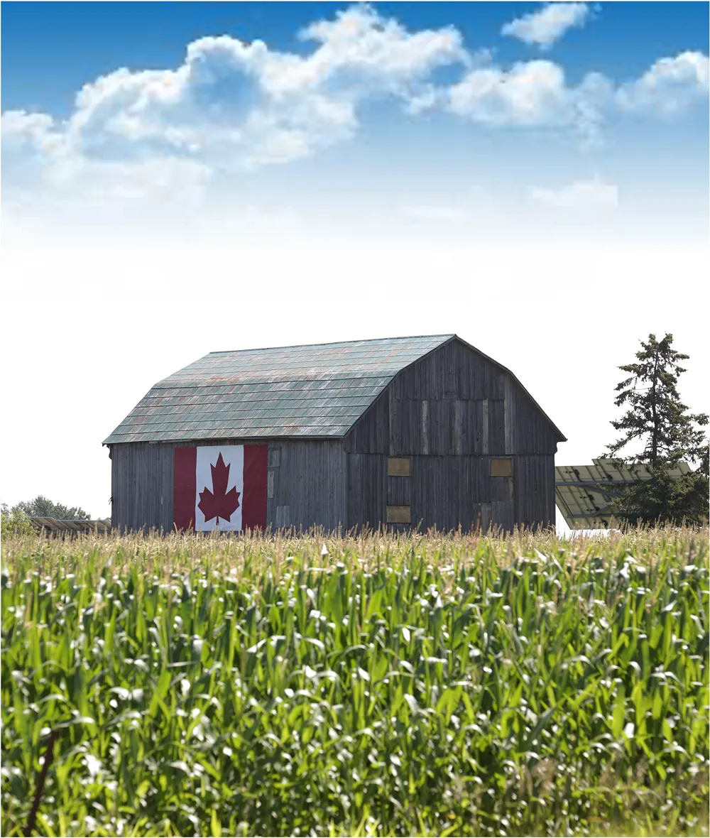 Charu-Kapoor-Immigration-TFWP-1