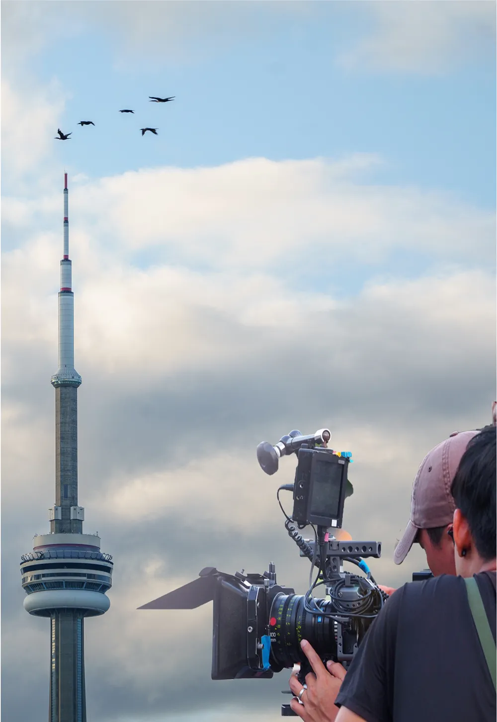 Charu-Kapoor-Immigration-Work-Without-Permit-1-1